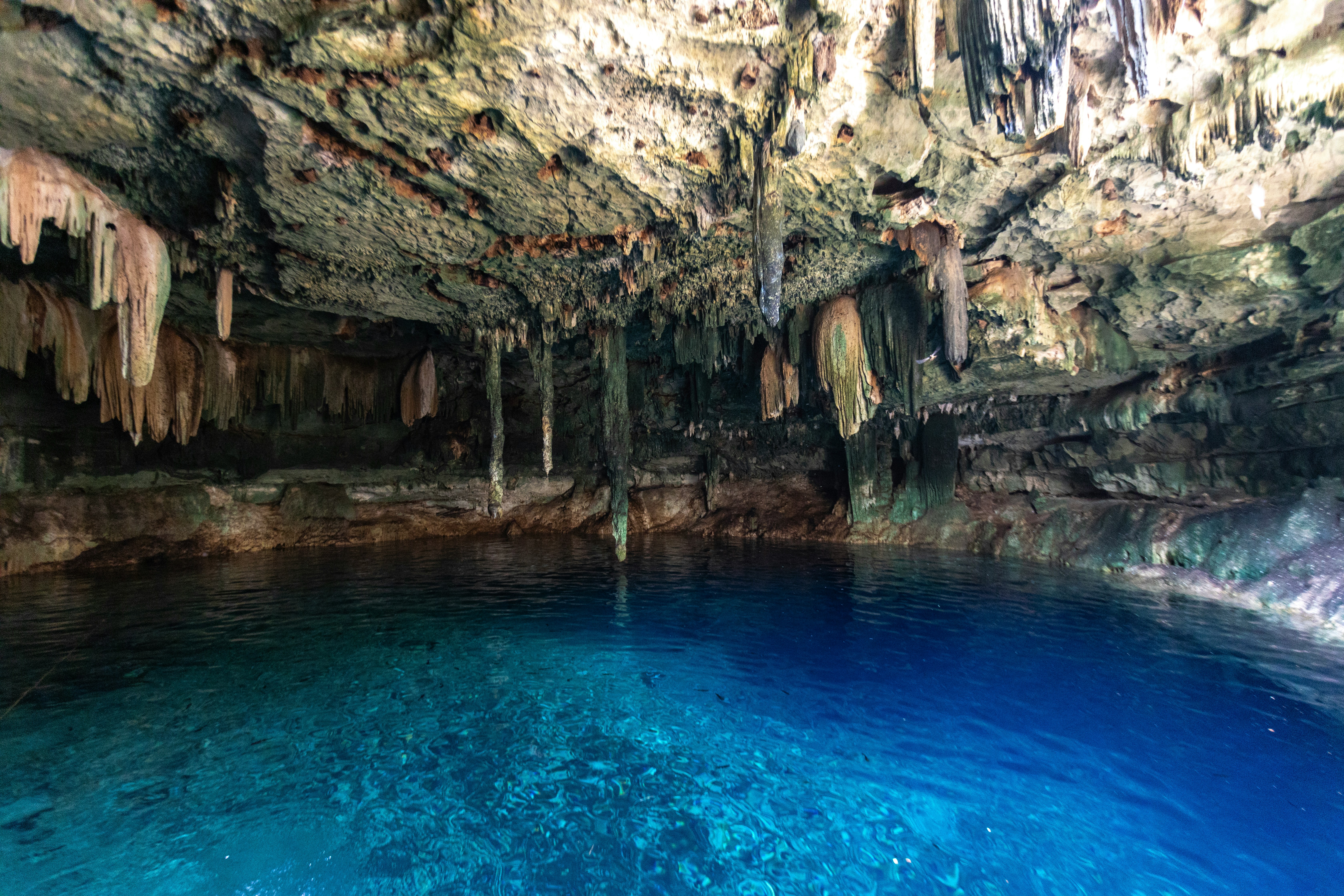 Sacred cenote swim excursion